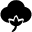 Algodón